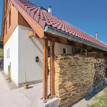 Two-bedroom In Jablonec nad Jizerou